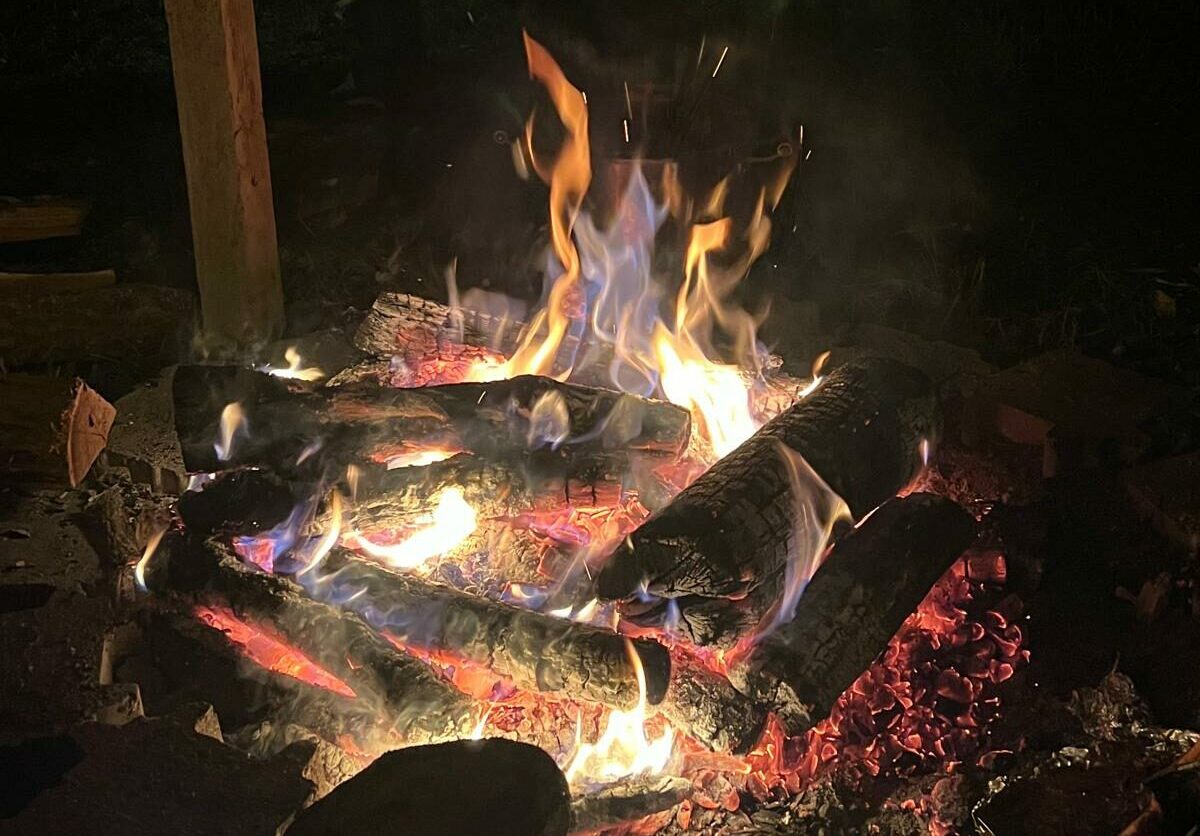 WhatsApp Image 2026-02-06 at 11.28.17